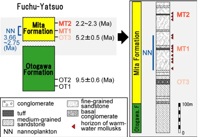 Fig. 3. Lithostratigraphy in the Otogawa and Mita Formations revised after  Amano et al