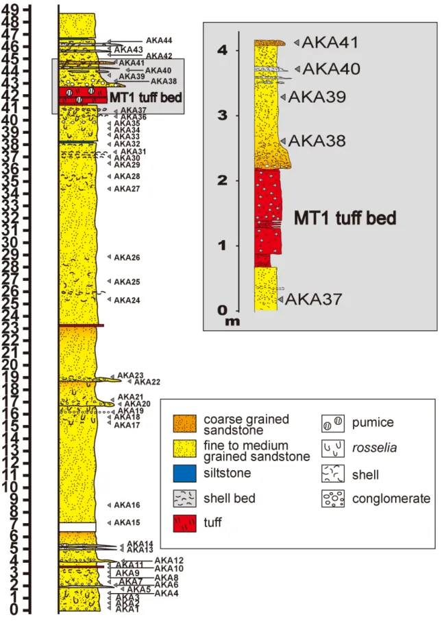 Fig. 7. Columnar sections with sample horizons of the Mita Formation along  the Hirabayashi section
