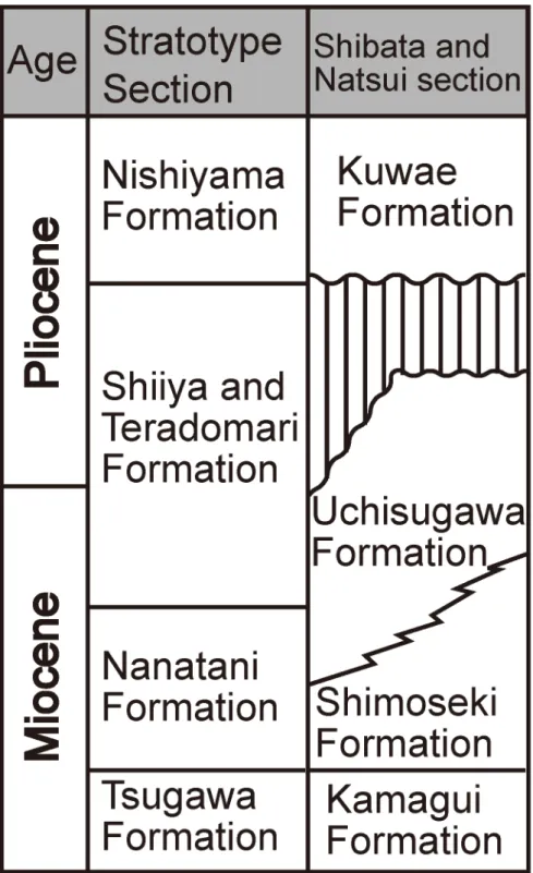 Fig. 12. Stratigraphy of the Neogene in the Stratotype section, Shibata and  Natsui section modified after Nishida and Tsuda (1961)