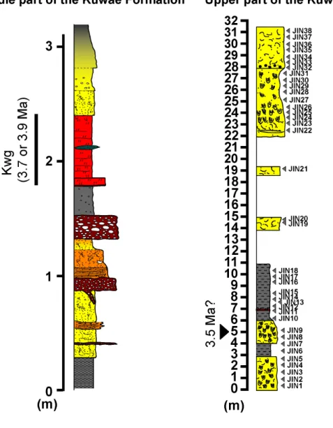 Fig. 16. Columnar sections with sample horizons of the middle and upper  parts of the Kuwae Formation, Jinai-gawa section