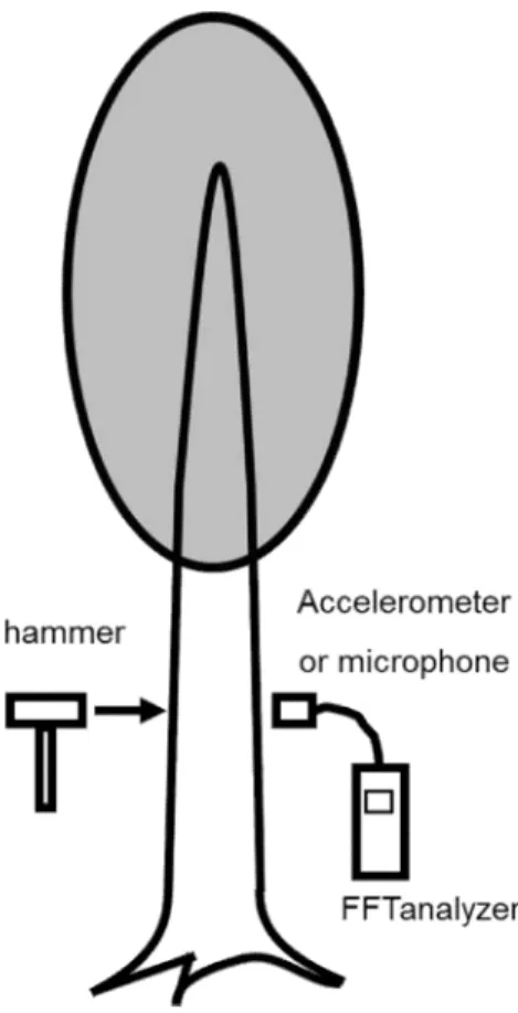 Fig. 1. Lateral impact vibration method. 