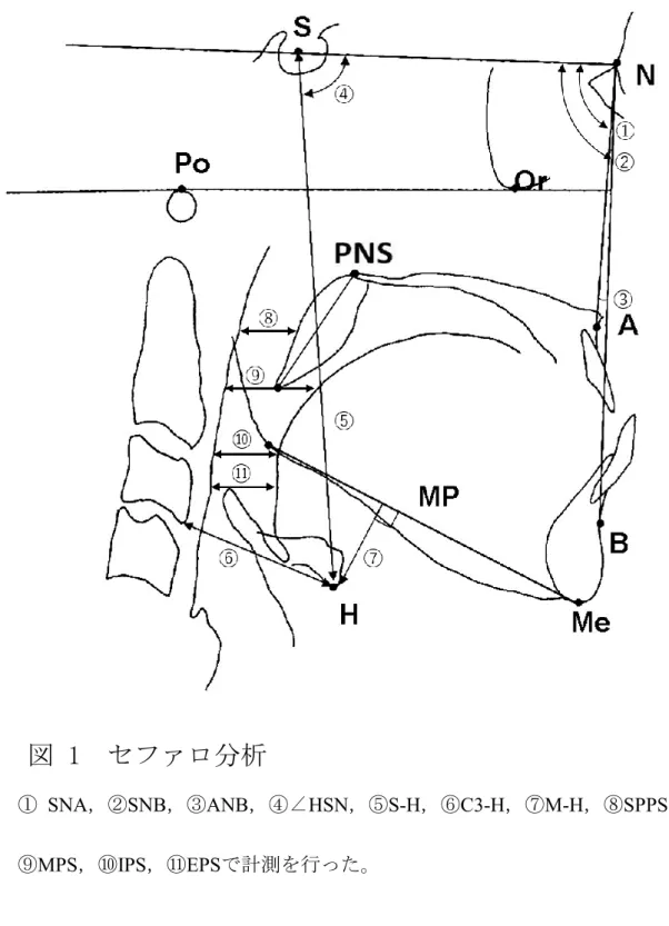 図 1  セファロ分析 