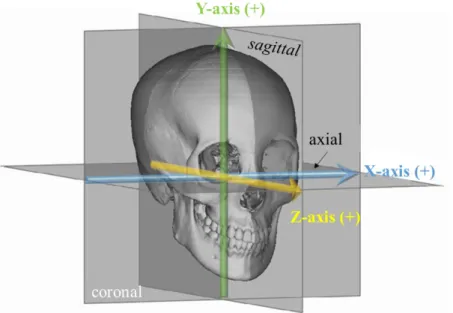 Fig. 2 3D-CT 像の基準座標系の設定