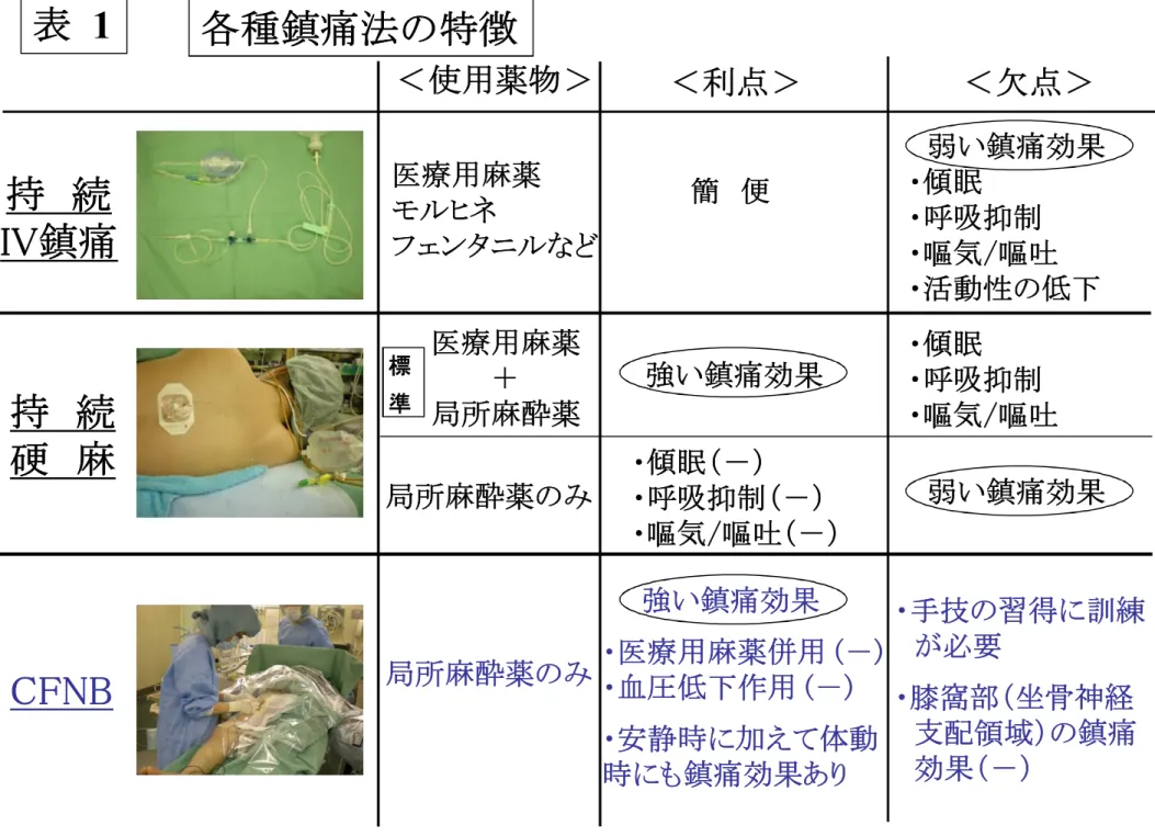表 1 持 続 IV鎮痛 持 続 硬 麻 CFNB ＜利点＞ ＜欠点＞＜使用薬物＞医療用麻薬モルヒネフェンタニルなど医療用麻薬＋局所麻酔薬局所麻酔薬のみ局所麻酔薬のみ簡 便強い鎮痛効果・傾眠（－）・呼吸抑制（－）・嘔気/嘔吐（－） 弱い鎮痛効果・傾眠・呼吸抑制・嘔気/嘔吐・活動性の低下・傾眠・呼吸抑制・嘔気/嘔吐弱い鎮痛効果強い鎮痛効果・医療用麻薬併用 (－)・血圧低下作用 (－) ・安静時に加えて体動 ・手技の習得に訓練が必要・膝窩部（坐骨神経支配領域）の鎮痛標準各種鎮痛法の特徴
