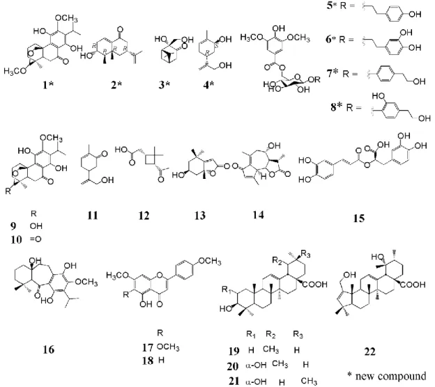 Fig. 1.    Structures of Compounds 1―22 Isolated from H. cuspidatus 