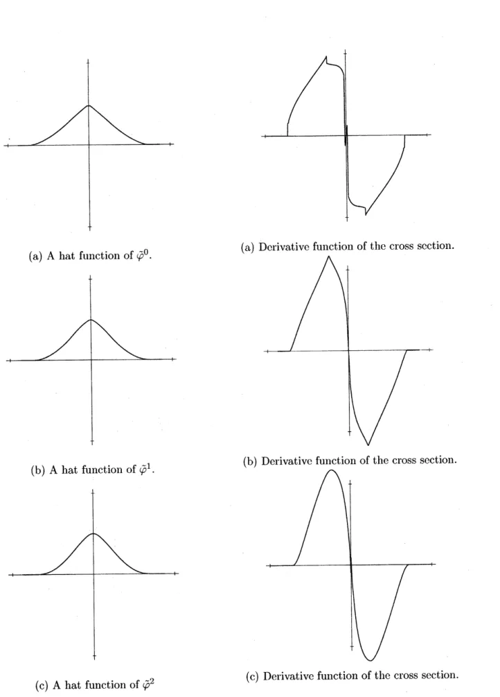 Figure 8. Derivative functions of the cross sec- sec-Figure 7. Cross sections of hat functions.