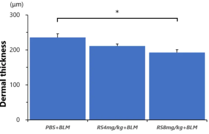 Figure 2. Dermal thickness in mice treated with bleomycin and either RS-504393 or PBS
