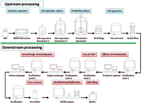 Figure 4 1: Process flow for an antibody production process