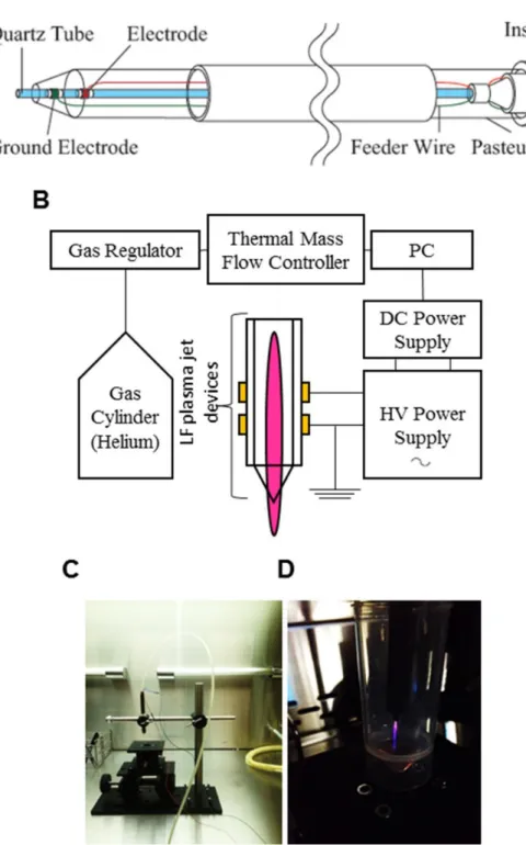 Figure 1: Experimental setup for AGP generation and preparation of AGP-activated medium