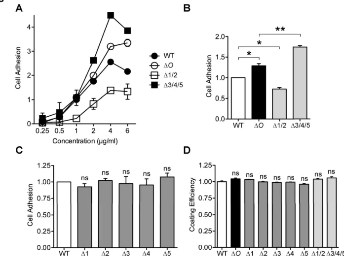 Figure 3. Effect of site-specific O-glycosylation on cell adhesion activity of OPN. 