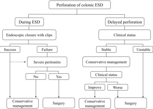 Fig. 7.  Proposed algorithm for the diagnosis and management of colonic endoscopic submucosal dissection associat- associat-ed perforation.