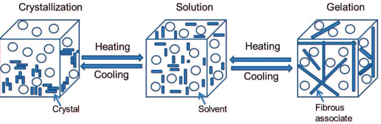 Figure 1-3. Relationship between gelation and crystallization. 