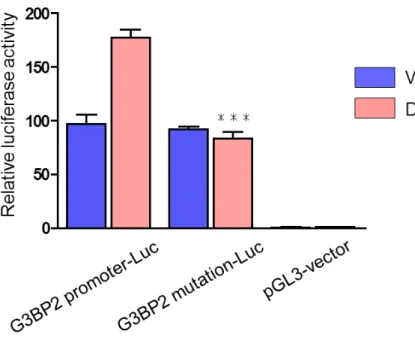 図 99       G G33B BPP22  m muuttaattiioonn--LLuucc の の 転 転 写 写 活 活 性 性 化 化 能 能 の の 消 消 失 失   