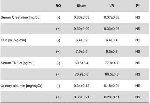 Table 3. Comparison of parameters between rats with or without RO in the Phase 1 study