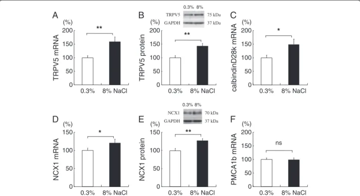 Figure 6 Distal, transcellular calcium-transporting molecule expressions in the kidney cortex of rats fed 0.3% or 8% NaCl for 8 weeks.