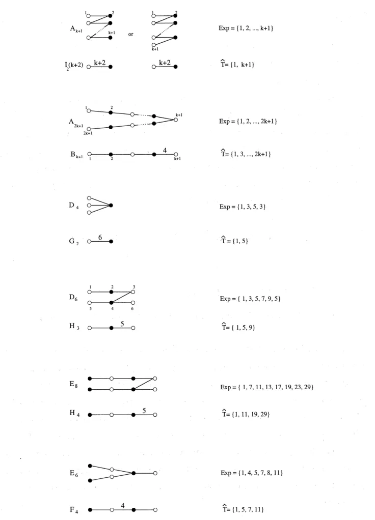 Fig. 1: The folding of ADE Dynkin diagrams of positive type. Classes $T_{i}$ of vertices encompass nodes on the same vertical.