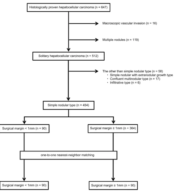 Figure 2  Flow chart of the patients with hepatocellular carcinoma   