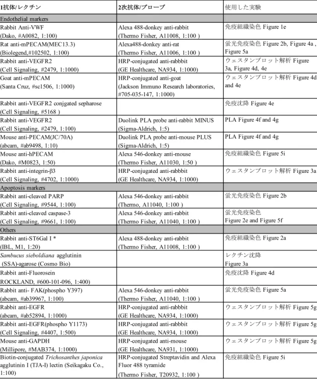 表 1.  本研究で⽤いた抗体とレクチン 