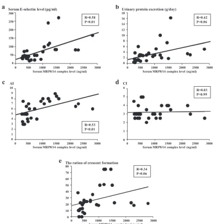 Fig. 2.  Relationships among serum E - selectin level, urinary protein excretion, AI, CI, the degree of crescent forma- forma-tion, and serum MRP8/14 complex level.