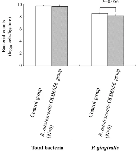 Fig.  3-7.  Bacterial  counts  of  total  bacteria  and  P.  gingivalis  in  experiment  2