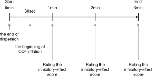 Figure 2. Timetable of three-minutes observation. 