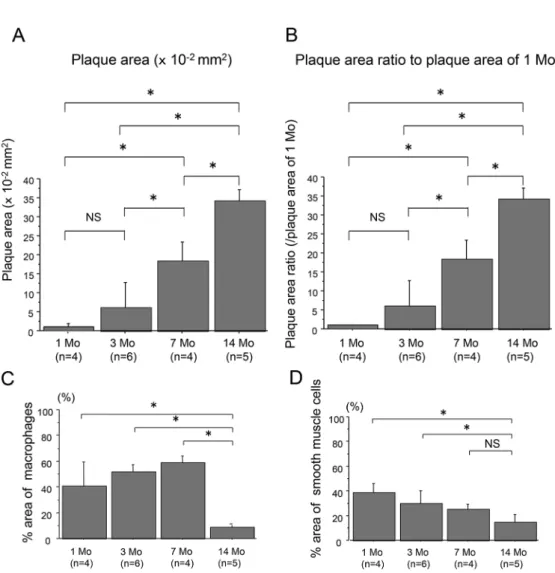 Fig. 5A demonstrated the serum AGE levels at  2, 4, 8 and 15 months of WHHLMI rabbits,  indicat-ing no significant difference in the serum AGE  lev-els among the four groups