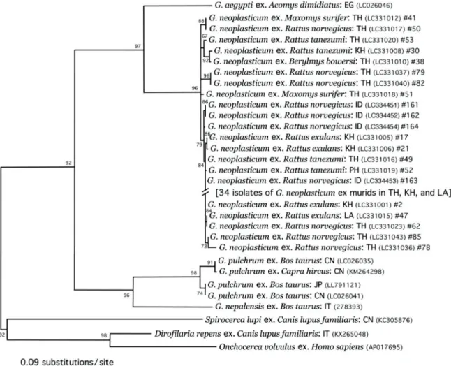 Figure 6    ML phylogenetic tree based on 818-bp long cox-1 nucleotide sequence. All  nucleotide sequences of Gongylonema neoplasticum shown in the figure were newly  obtained in the present study, with 27 G