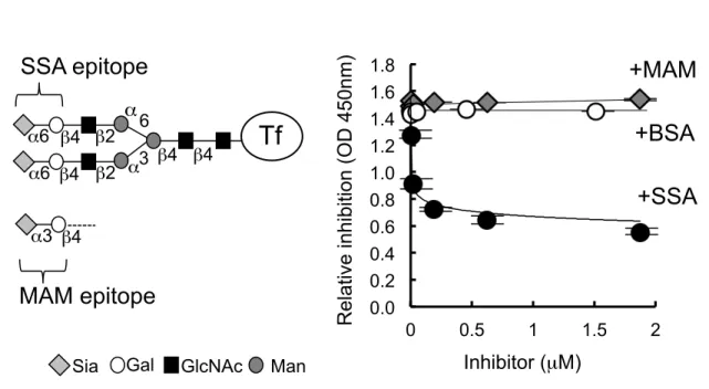 Fig. 1. Lectin epitopes on N-glycans of Tf and lectin-dependent inhibition of Tf-ab  binding to Tf in ELISA.