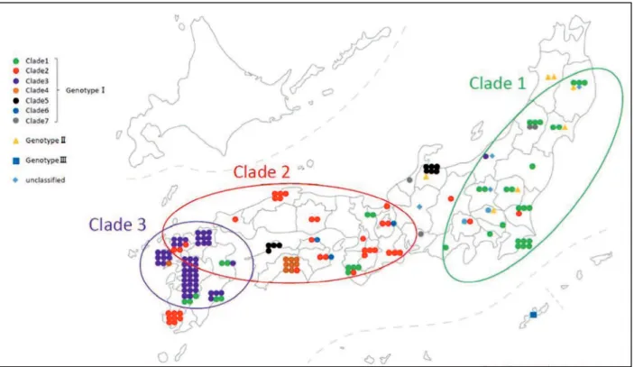 Figure 5: Geographic map of Japan showing the distribution of FeLV genotypic clusters (Genotypes I, 