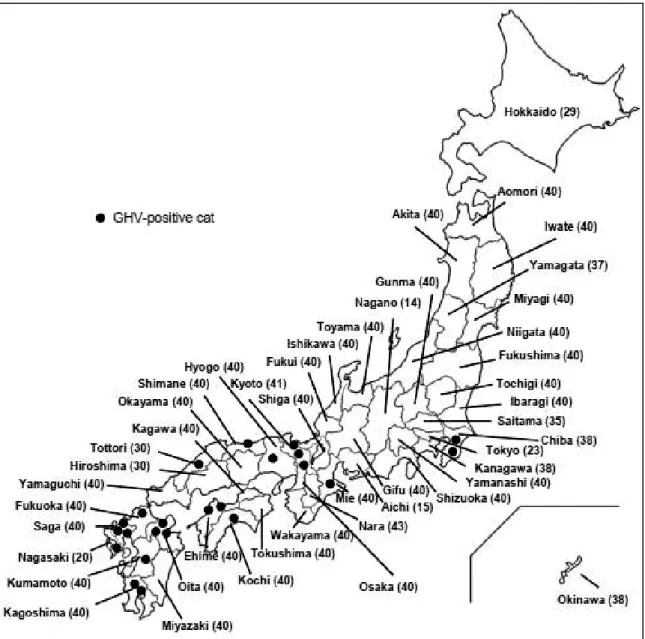 Figure 7: Map of Japan showing the distribution of gammaherpesvirus-positive cats. Positive cats are 