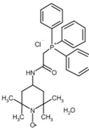 Fig. 1. Pharmacological profile of MitoTEMPO   
