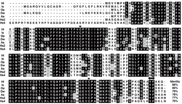 Fig. 1.2. Multiple alignment sequence analysis of the deduced amino acid sequence of  HlPrx2  -Cys  peroxiredoxin