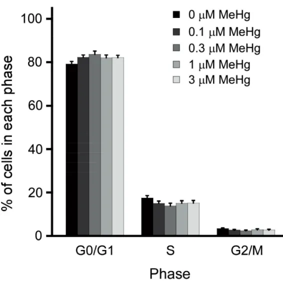Fig. 3.  Effect of MeHg on the cell cycle. Change in the G0/G1-, S- and G2/M-phase  distribution following MeHg exposure were determined based on the DNA 