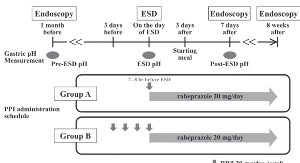 Fig. 1.  Study Protocol.