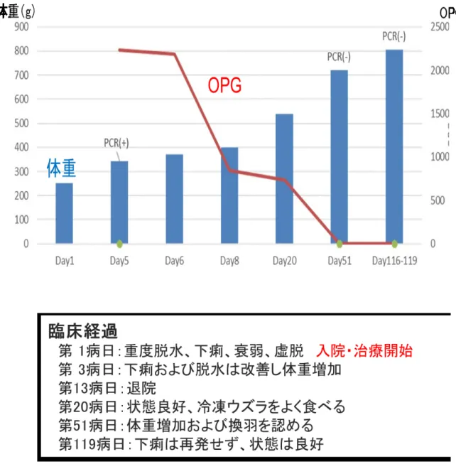 図 4-3.  オオフクロウの体重と OPG の経時的変化および臨床経過 
