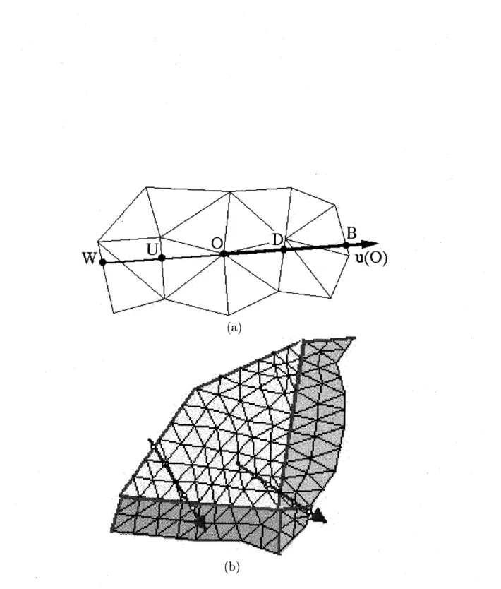 Figure 3: (a)Two upwind points(W,U) and two downwind points(D,B) in the upwind finite element approximation based on the choice of up- and downwind $\mathrm{I}$ ) $\mathrm{o}\mathrm{i}\mathrm{n}\mathrm{t}\mathrm{s}$ and $(\mathrm{b})\mathrm{a}$