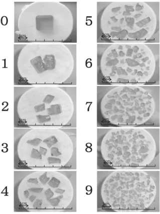 Figure 1. Visual data used for the measurement of the scored masticatory ability 