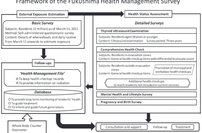 Fig. 1. Items included in the comprehensive health check.