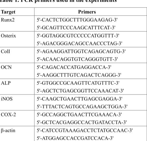 Table 1. PCR primers used in the experiments 