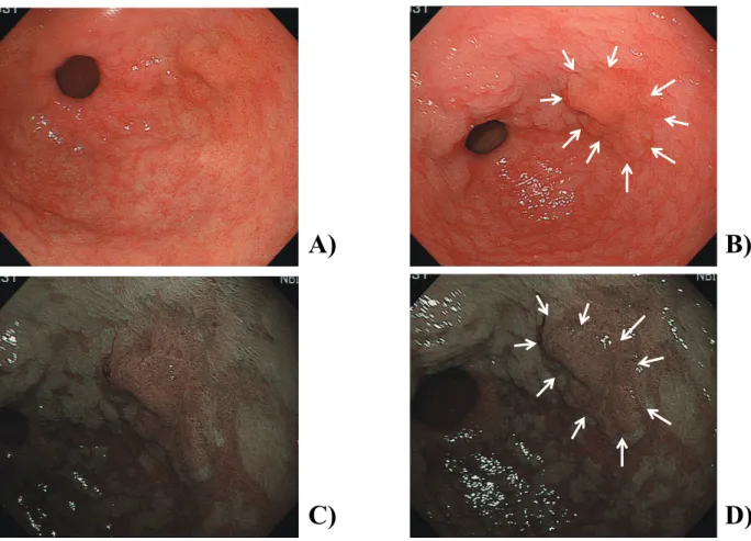 Fig. 3. Case 1