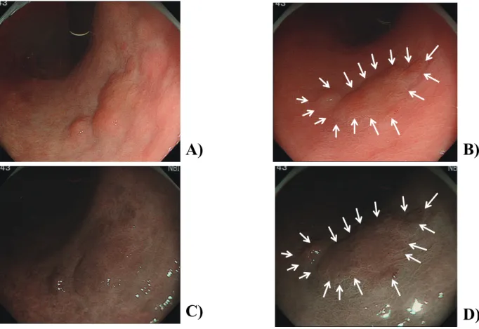 Fig. 3. Case 2