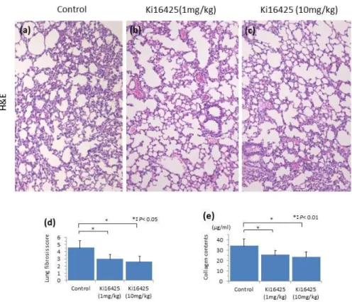 Figure 6.    Histopathological evaluation of the lung of bleomycin induced mice treated  with  (a)  oil,  (b)  Ki16425  (1  mg/kg),  (c)  Ki16425  (10  mg/kg)  for  4  weeks  by  H&amp;E  staining