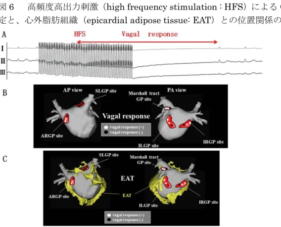 図 6  高頻度高出力刺激（high frequency stimulation : HFS）による GP の同 定と、心外脂肪組織（epicardial adipose tissue: EAT）との位置関係の検討 