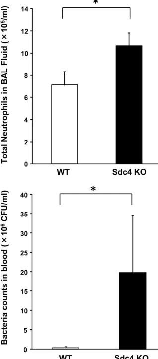 Figure 5 A B C D WT Sdc4 KO02468101214