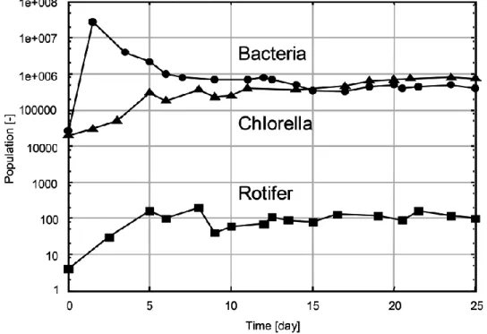 Fig. 2-3  3 生物種の個体数の時間履歴（実験） 