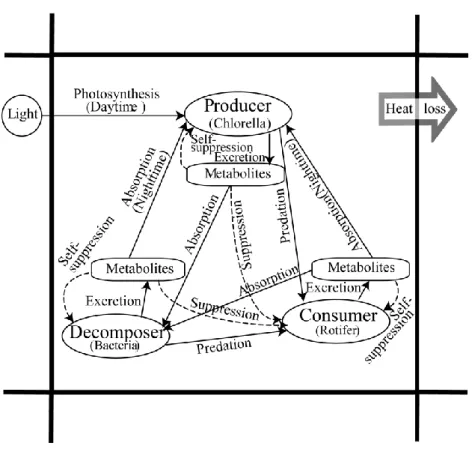 Fig. 3-3  微生物間の相互作用関係     