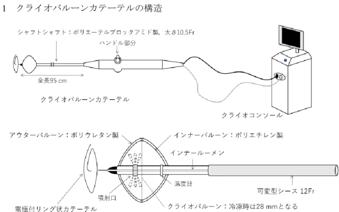 図 1 クライオバルーンカテーテルの構造