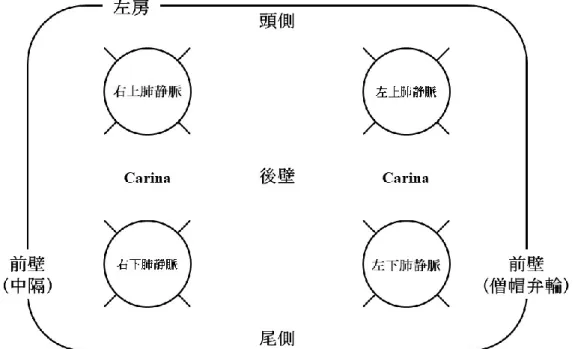 図 4 解析した肺静脈前庭部（ 16 区域）