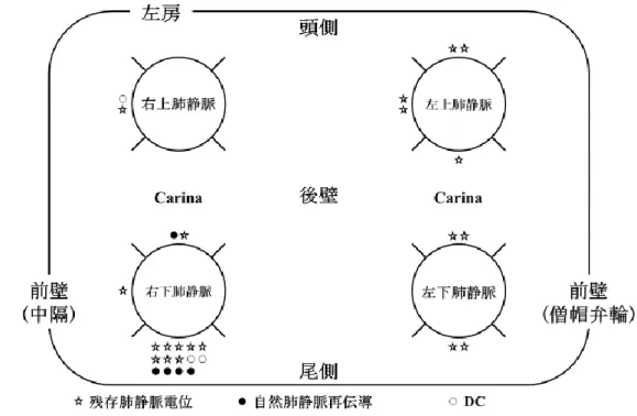 図 9 研究②  EPVR の区域分布