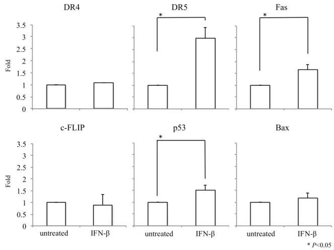 Figure 6.    Real-time qRT-PCR によるアポトーシス関連遺伝子の mRNA 発現解析 